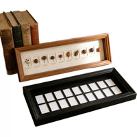 Multi-Grid Shadow Box Frame for DIY Specimen Display - 2cm Deep