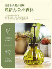 Vintage Glass Plant Mister Spray Bottle for Indoor Gardening and Succulents