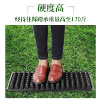 Multi-functional Seedling Tray for Succulents, Vegetables, and Hydroponics - 200-Cell