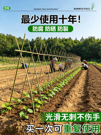 Garden Climbing Plant Support Stakes Bamboo Poles for Vegetables Beans Cucumbers Outdoor Fence Trellis