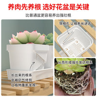 Rectangular Succulent Planter with Detachable Tray for Windowsill & Desktop