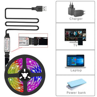 USB WiFi Smart RGB LED Strip Light Kit with Remote for Modern Home Decor