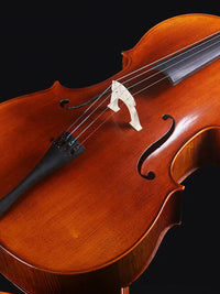 Violin C101 Cello Professional Performance Grade Italian Spruce for Adults and Beginners