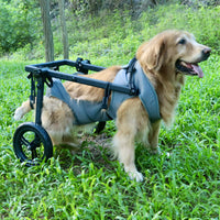 Pet Dog Wheelchair for Medium to Large Dogs, Rehabilitation and Walking Aid Cart
