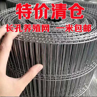 Galvanized Steel Wire Mesh Fence for Poultry Cages and Protective Enclosures