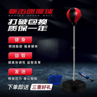 Freestanding Punching Speed Ball for Stress Relief & Training, Inflatable Boxing Reflex Bag for Adults & Kids