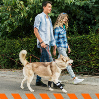 Reflective Dog Knee Brace Leg Joint Protector for Large Dogs