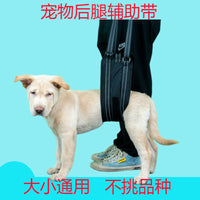 Upgraded Pet Mobility Harness for Injured or Disabled Dogs - Breathable Mesh Rear Leg Support for Rehabilitation