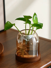 Vintage Glass Small Flower Vase Hydroponic Plant Container for Home Office Desktop Decor