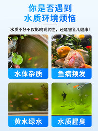 Aquarium Water Clarifier Electrolytic Bio-Enzyme Purifier for Fish Tanks and Ponds, Algae Remover
