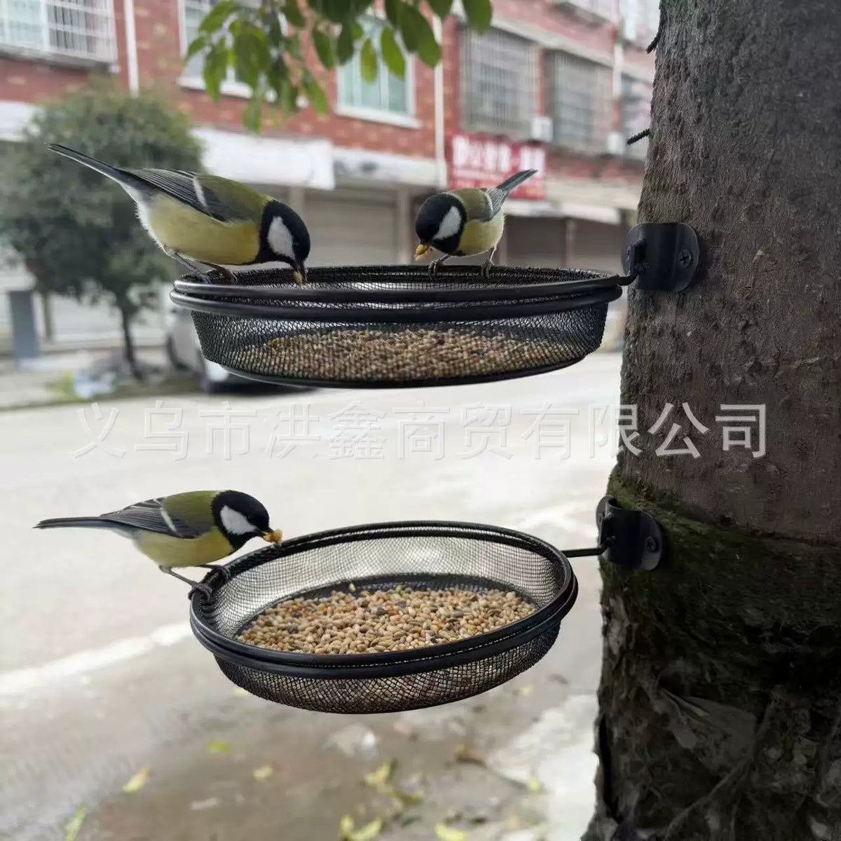 Outdoor Wall-Mounted Bird Feeder with Detachable Metal Mesh or Plastic Tray