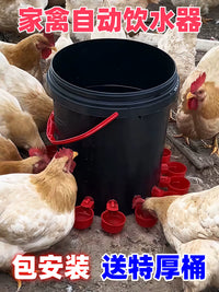 Automatic Poultry Waterer with Drinking Cups for Chickens, Ducks, Geese, Pigeons, and Birds
