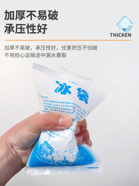 Disposable Self-Sealing Ice Pack for Food Delivery and Refrigeration
