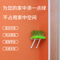 Hydroponic Seed Sprouting Tray with Lid for Home Gardening