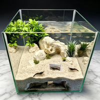 Ultra-Clear Glass Aquarium Fish Tank with Ecological Landscape Decoration for Home Living Room