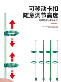 Plant Support Stakes for Climbing Plants, Monstera, Tomatoes, and Garden Vegetables