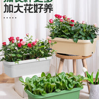 Self-Watering Rectangular Planter for Home Balcony Vegetable Gardening, Thickened Plastic