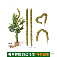 Moss Pole Plant Support for Climbing Plants - Coir or Moss Fiber