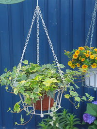 Wrought Iron European Vintage Petal Hanging Basket for Balcony Garden Courtyard Outdoor Hanging Flower Pot
