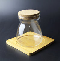 DIY Terrarium Glass Bottle with Cork Lid for Micro Landscape Moss Art