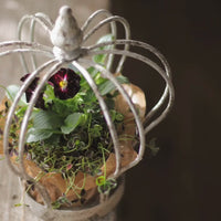 Iron Art Crown Birdcage Planter Retro Japanese Garden Decoration Bulb Horned Violet Pot