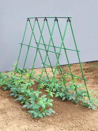 Garden Trellis Kit for Climbing Plants, Coated Steel Support for Beans, Cucumbers, Tomatoes, and Vegetables