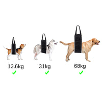 Dog Mobility Harness for Rear Leg Support