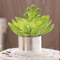 Miniature Dollhouse Plant Shelf with Succulents for BJD Dolls