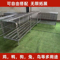 Modular Outdoor Chicken Run Tunnel with Anti-Predator Wire Mesh for Poultry