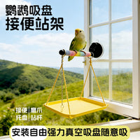 Parrot Suction Cup Perch with Waste Tray and Anti-Flight Chain for Birds