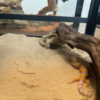 Reptile Desert Calcium Sand Substrate for Lizards and Geckos, Terrarium Decor