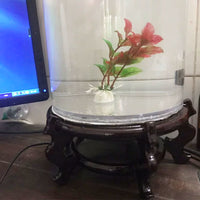 Cylindrical Glass Fish Tank for Desktop, Small Aquarium for Home and Office