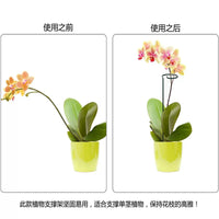 Plant Support Stakes for Potted Flowers, Orchid, Amaryllis - Rust-Resistant Coated Iron Garden Plant Support