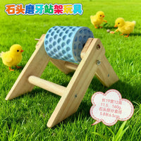 Rotating Pet Feeder Toy for Parrots, Chickens, Squirrels with Grinding Stone