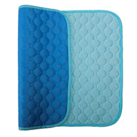 Pet Cooling Mat for Dogs and Cats, Non-Slip Summer Sleep Pad