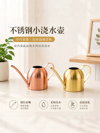 Stainless Steel Mini Watering Can for Indoor Plants, Succulents, and Children - 300ml/450ml