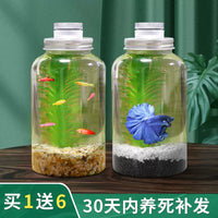 Creative Ecosystem Bottle Micro Landscape Betta Fish Tank, Self-Cleaning Desktop DIY Aquarium