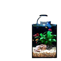 Mini Ultra-White Glass Fish Tank for Desktop and Office