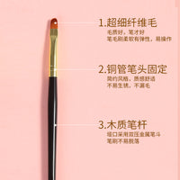 Professional Nail Art Brush Set for Gel Polish and French Manicures
