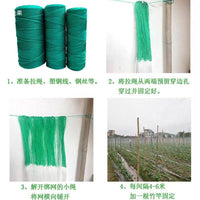 Plant Climbing Net for Yams, Beans, Melons and Passion Fruit Trellis Support