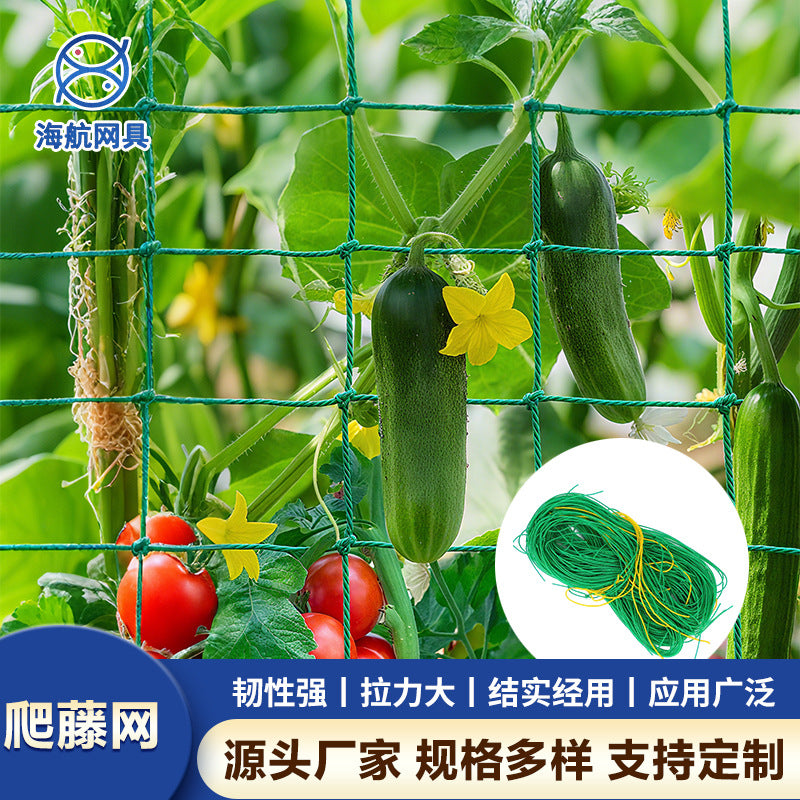 Green Polyethylene Plant Trellis Netting for Climbing Plants, Garden Support Mesh with Locked Edges