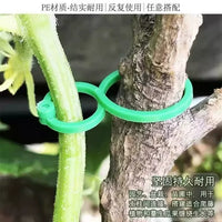 Cucumber Tomato Bean Vine Climbing Plant Support Clips for Garden Green Plants Vegetables