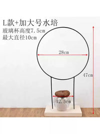 Iron Art Hydroponic Plant Climbing Trellis with Wooden Base, Round/Spiral Desktop Support for Potted Plants