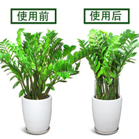 Semi-Circular Iron Plant Support Stakes for Climbing Plants and Flowers