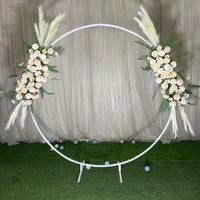 Large Iron Round Arch Wedding Backdrop Stand for Outdoor Lawn Events and Balloon Decor