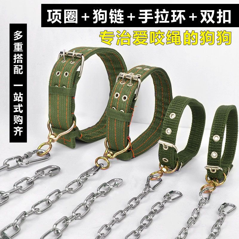 304 Stainless Steel Dog Leash Chain for Small to Large Dogs, Anti-Bite Pet Collar and Tie-Out Cable
