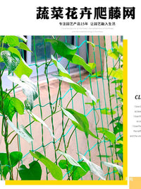 Garden Plant Trellis Net for Climbing Vegetables, Fruits and Flowers