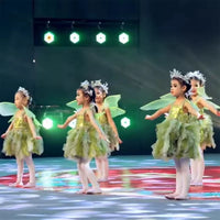 Kids' Shimmering Star Firefly Fairy Princess Tutu Dress with Headpiece and Wings for Performance