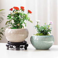 Ge Kiln Cracked Glaze Ceramic Succulent Planter Pot with Drainage Hole