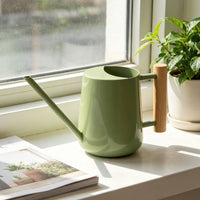 Stainless Steel Long Spout Watering Can with Wooden Handle for Indoor Plants & Garden